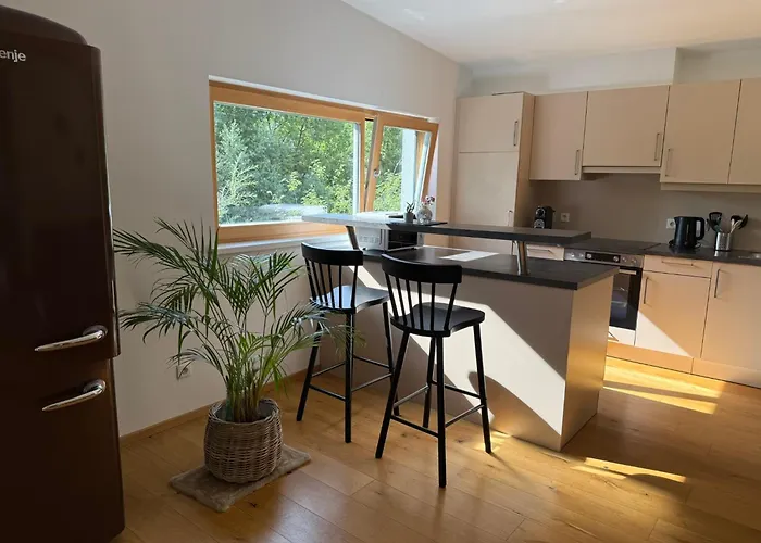 公寓 Bestezeit 斯拉德明